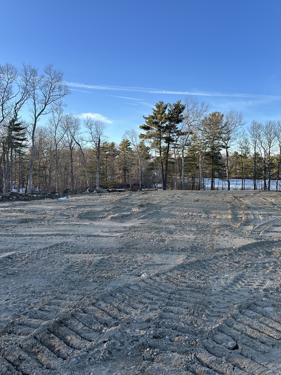 Lot 1 Eisenhauer