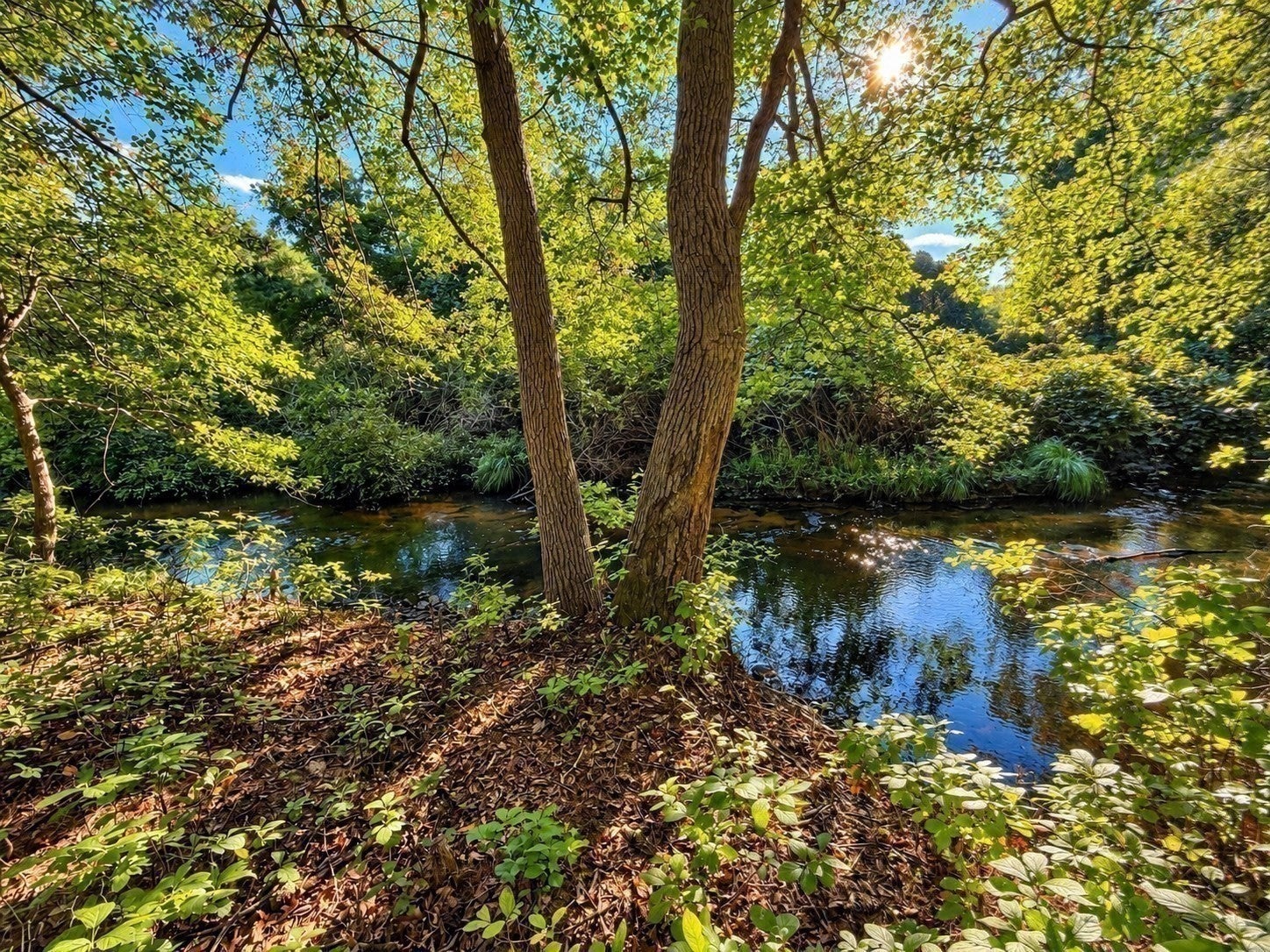 278 Main St, Kingston, MA, 278 Main St, Kingston, MA Photo #39