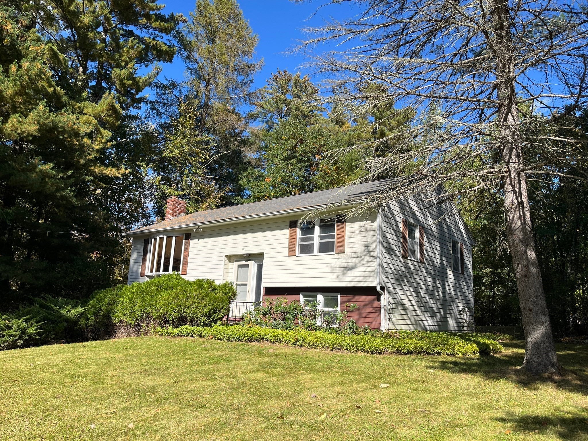 10 Douglas Drive