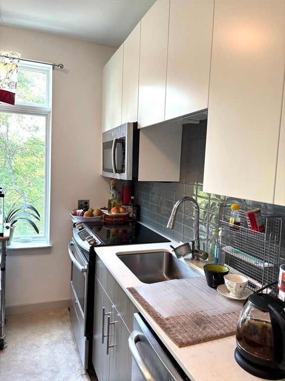 180 Telford St #319, Boston, MA, 180 Telford St #319, Boston, MA Photo #6