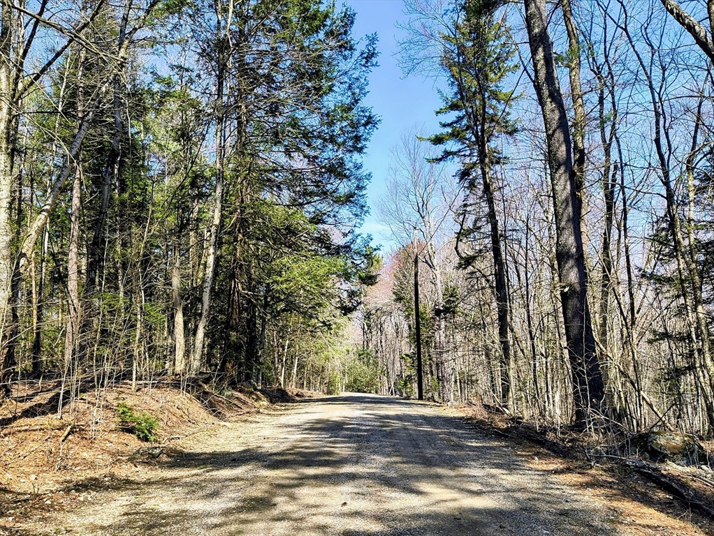 lot 16 Porcupine Courts