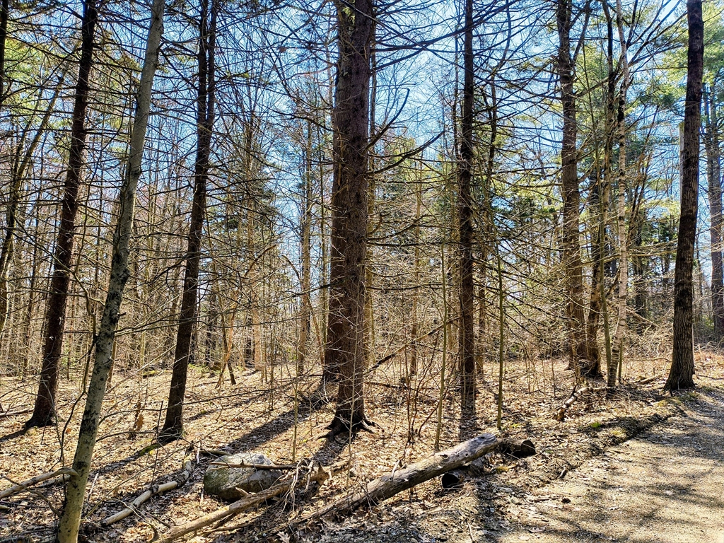 lot 16 Porcupine Courts