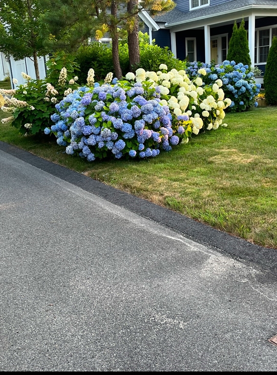 42 Poet's Corner, Plymouth, MA Photo #42