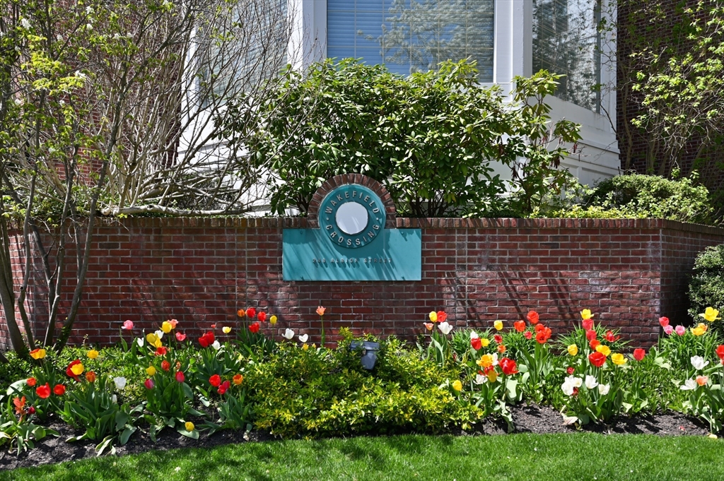 248 Albion St 324