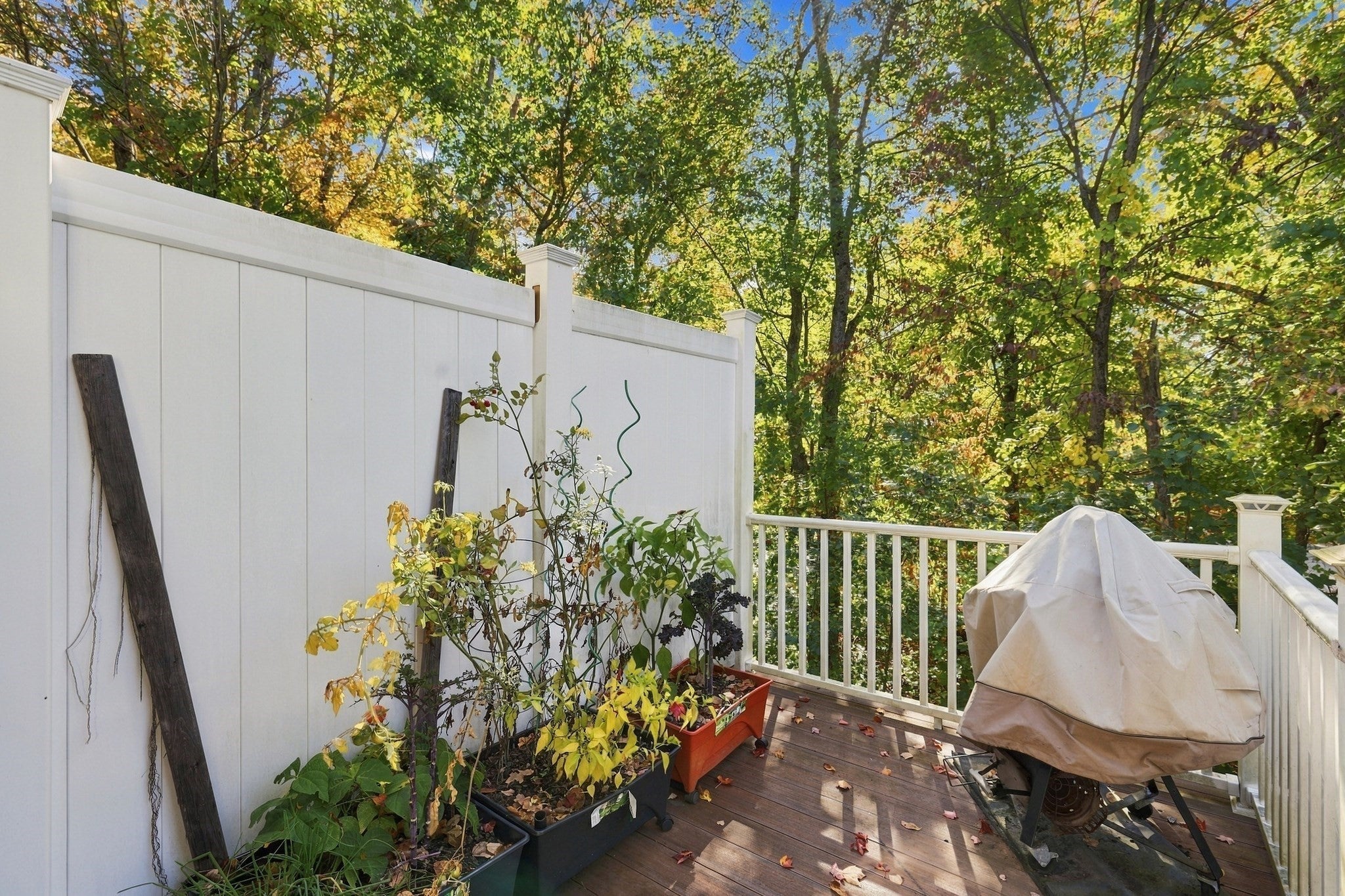 20 Banner Pl #C2, Winchendon, MA, 20 Banner Pl #C2, Winchendon, MA Photo #15