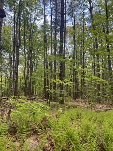 Lot A Ragged Hill Rd