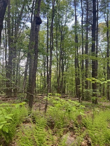 Lot A Ragged Hill Rd