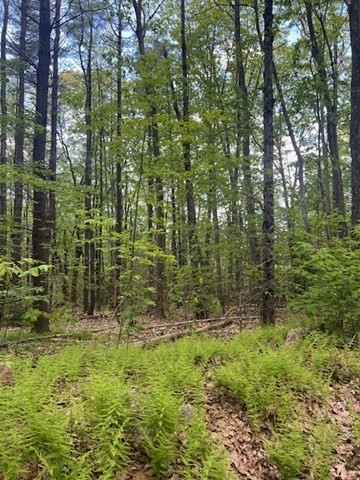Lot A Ragged Hill Rd