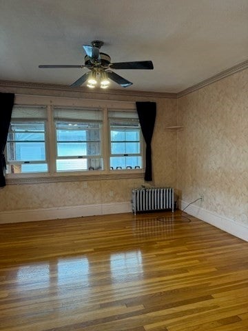 25 Larose Place #2, Boston, MA, 25 Larose Place #2, Boston, MA Photo #5