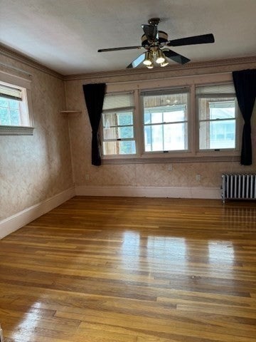 25 Larose Place #2, Boston, MA, 25 Larose Place #2, Boston, MA Photo #4