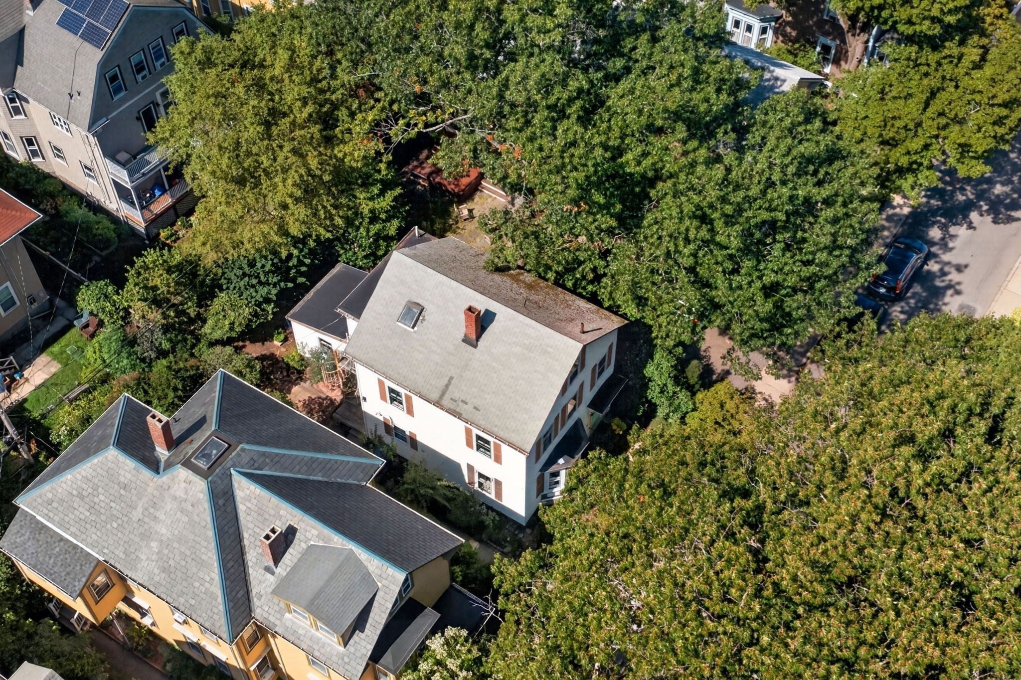 38 Holbrook St, Boston, MA, 38 Holbrook St, Boston, MA Photo #35