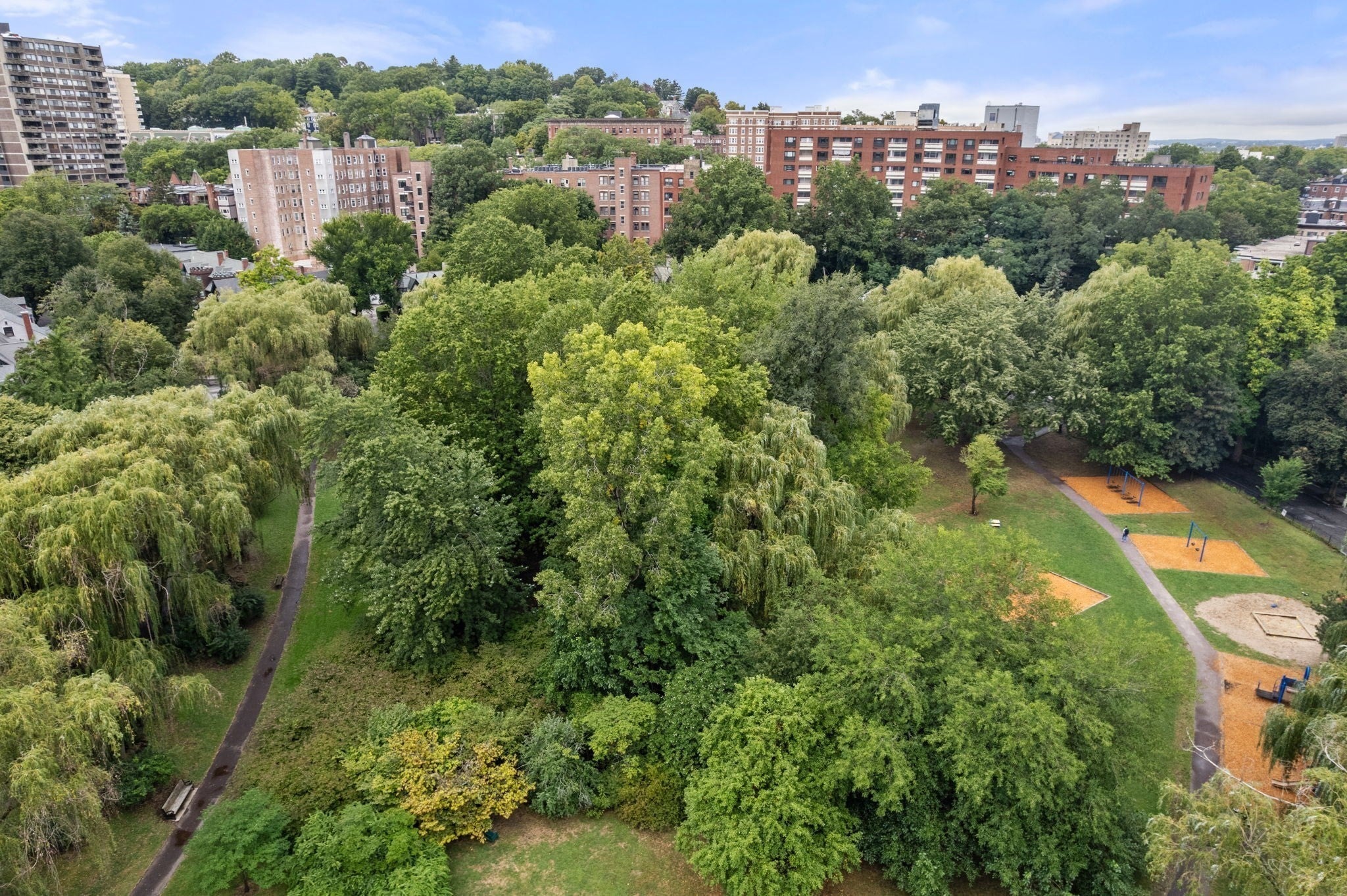 465 Washington St #1, Brookline, MA Photo #24