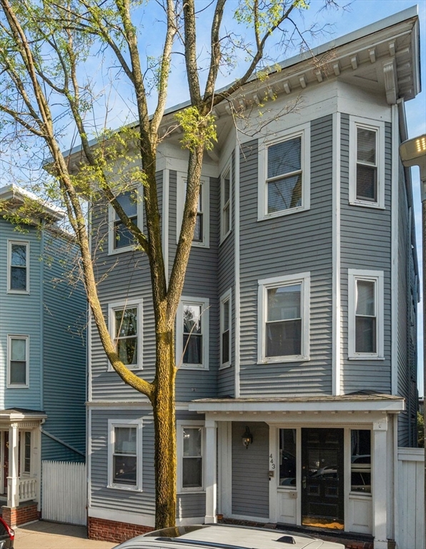 443 E 7th ST #3, Boston, MA Photo #17