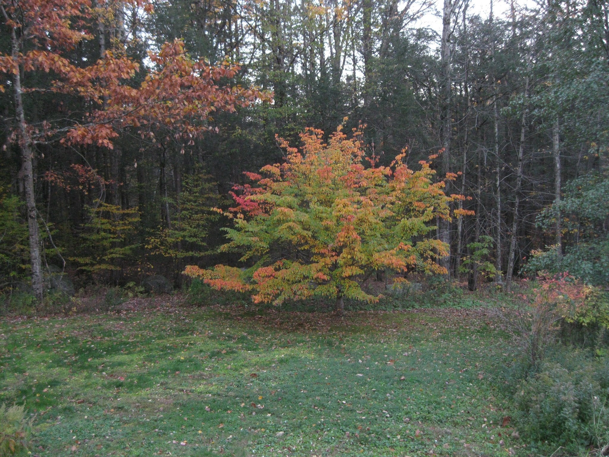 47 Lyon Hill Rd, Chester, MA Photo #20