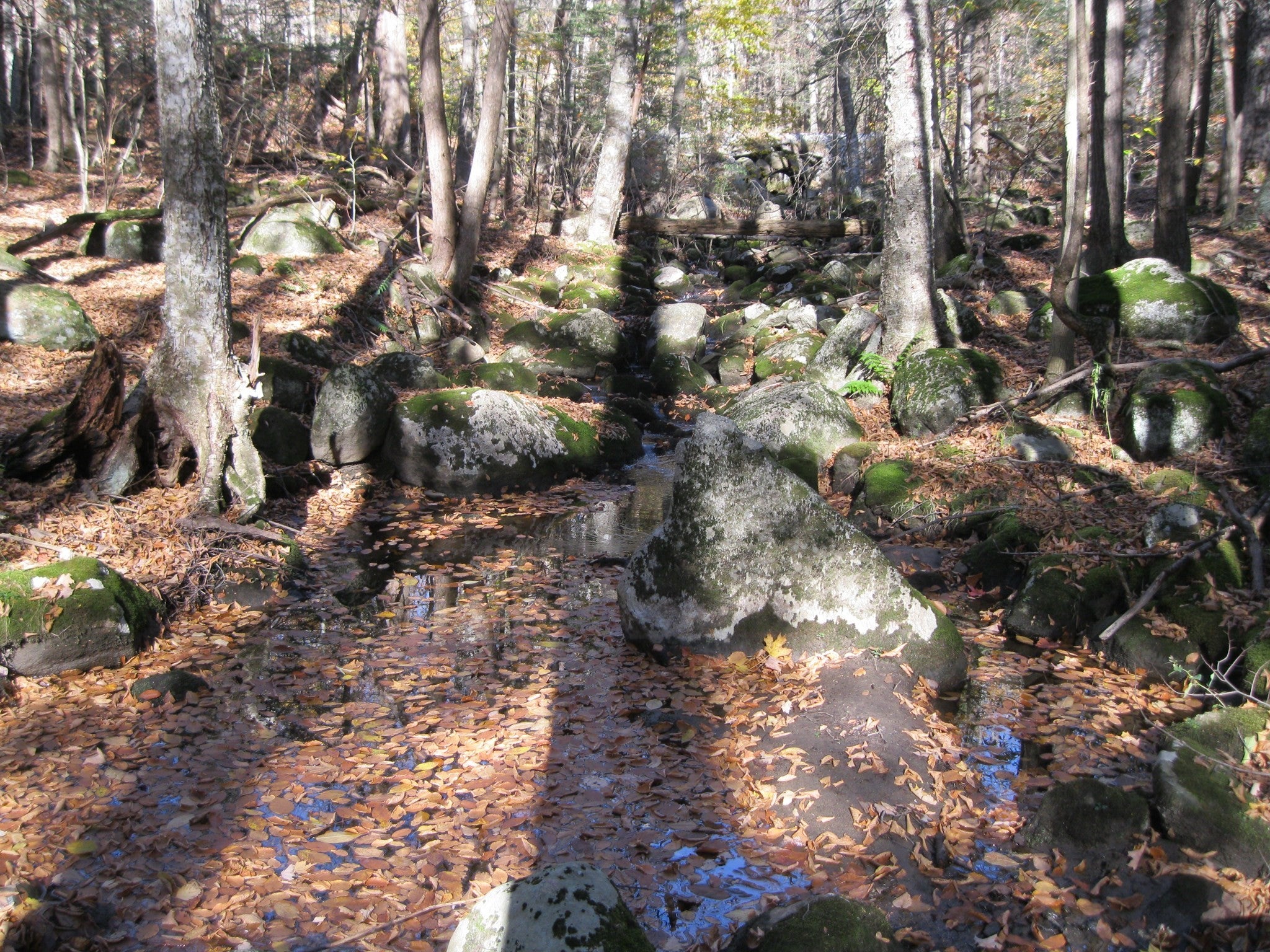 47 Lyon Hill Rd, Chester, MA Photo #24