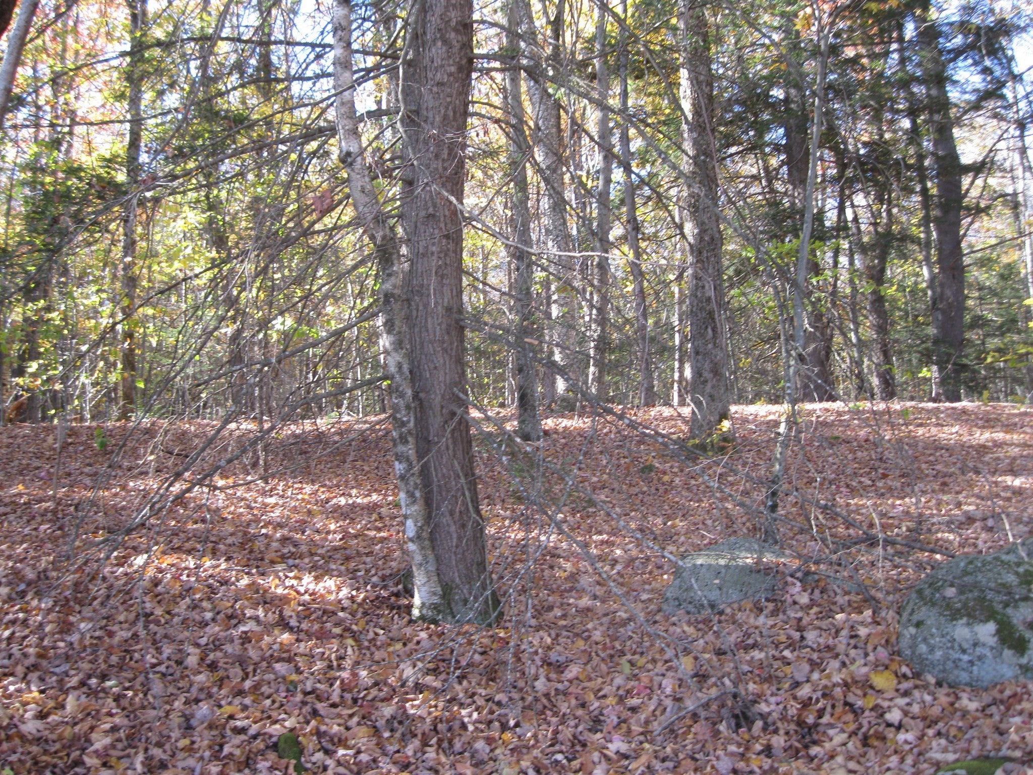 47 Lyon Hill Rd, Chester, MA Photo #23