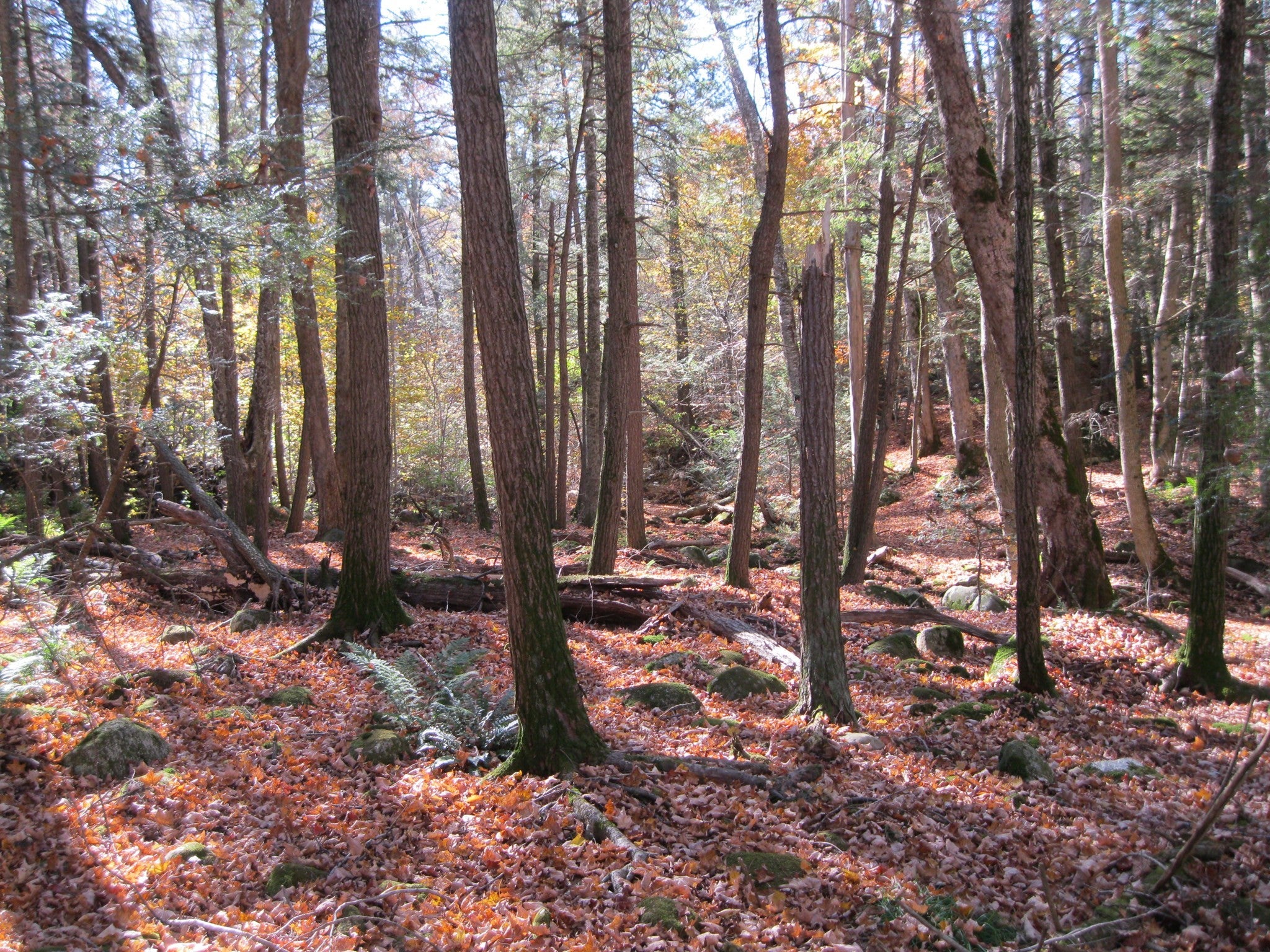 47 Lyon Hill Rd, Chester, MA Photo #22