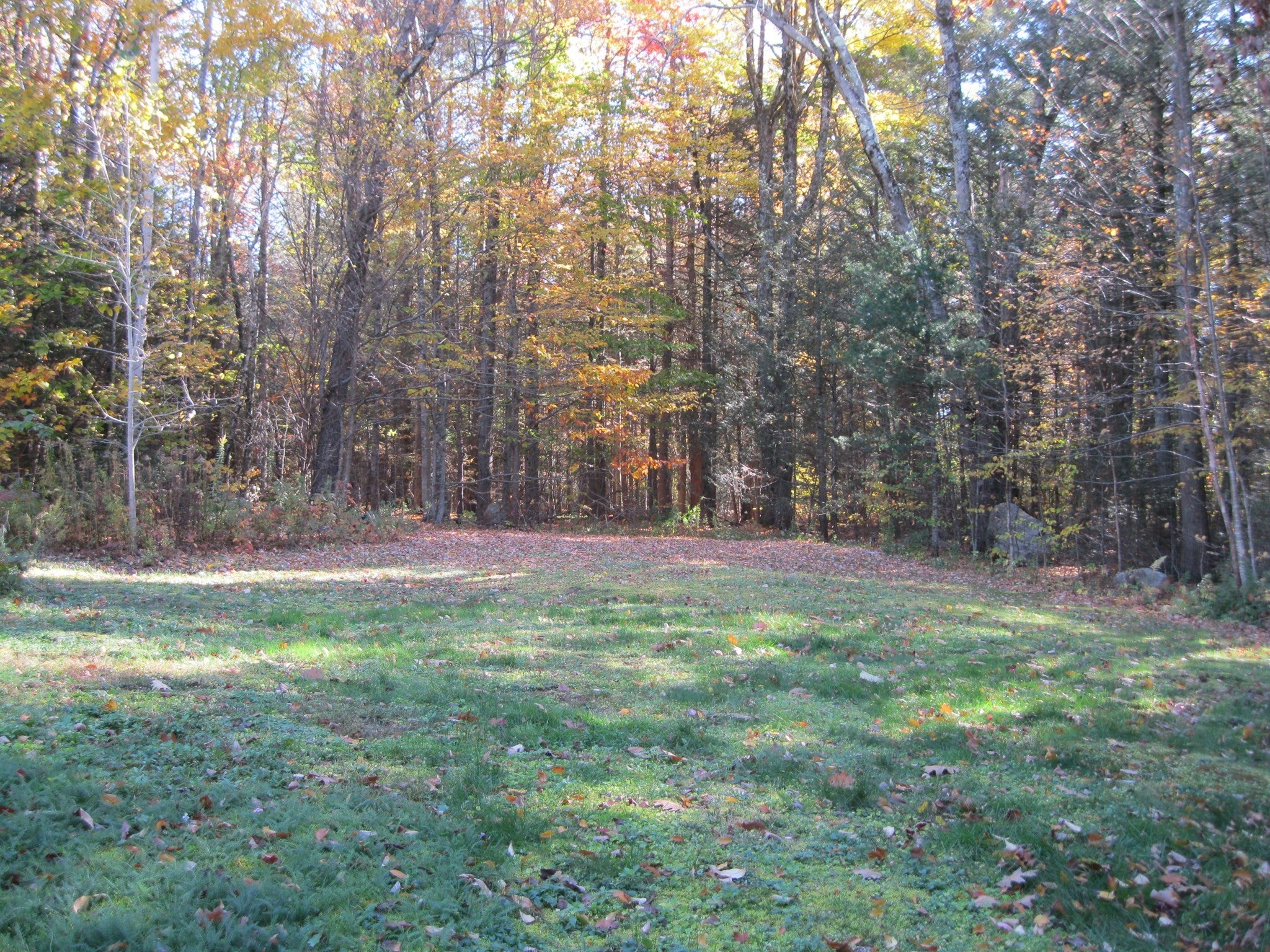 47 Lyon Hill Rd, Chester, MA Photo #18