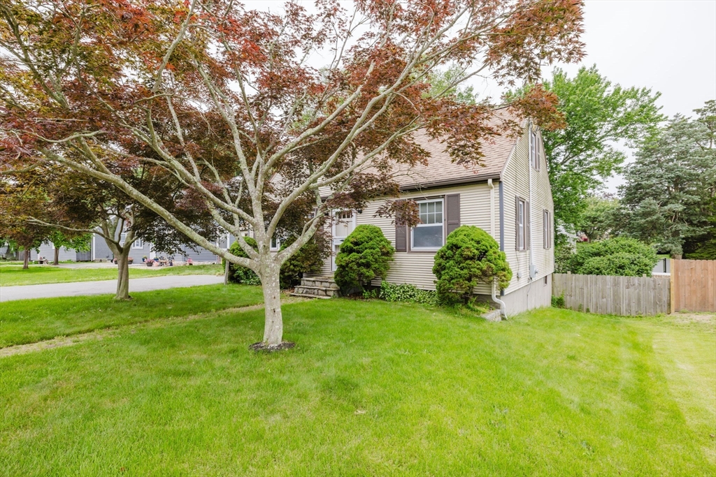 51 Jette St