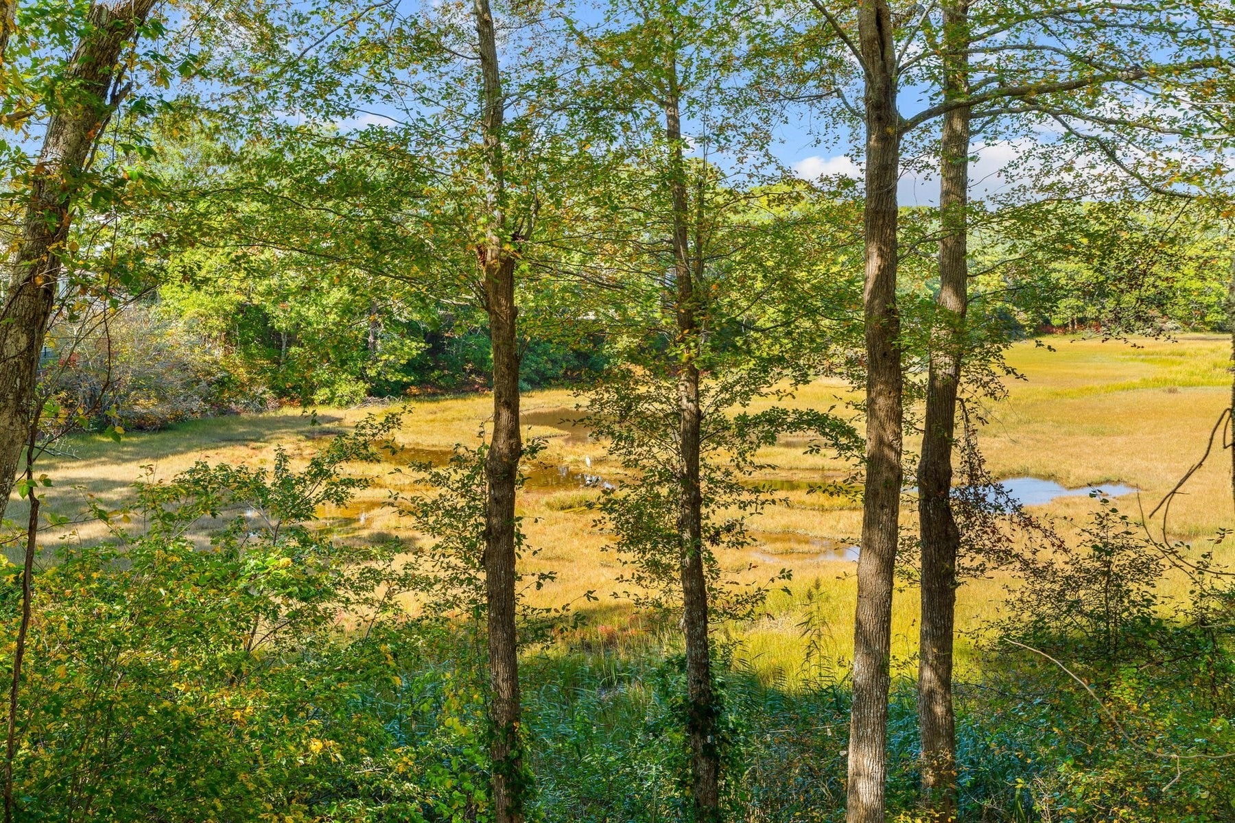 44 Summersea Road #17, Mashpee, MA, 44 Summersea Road #17, Mashpee, MA Photo #39