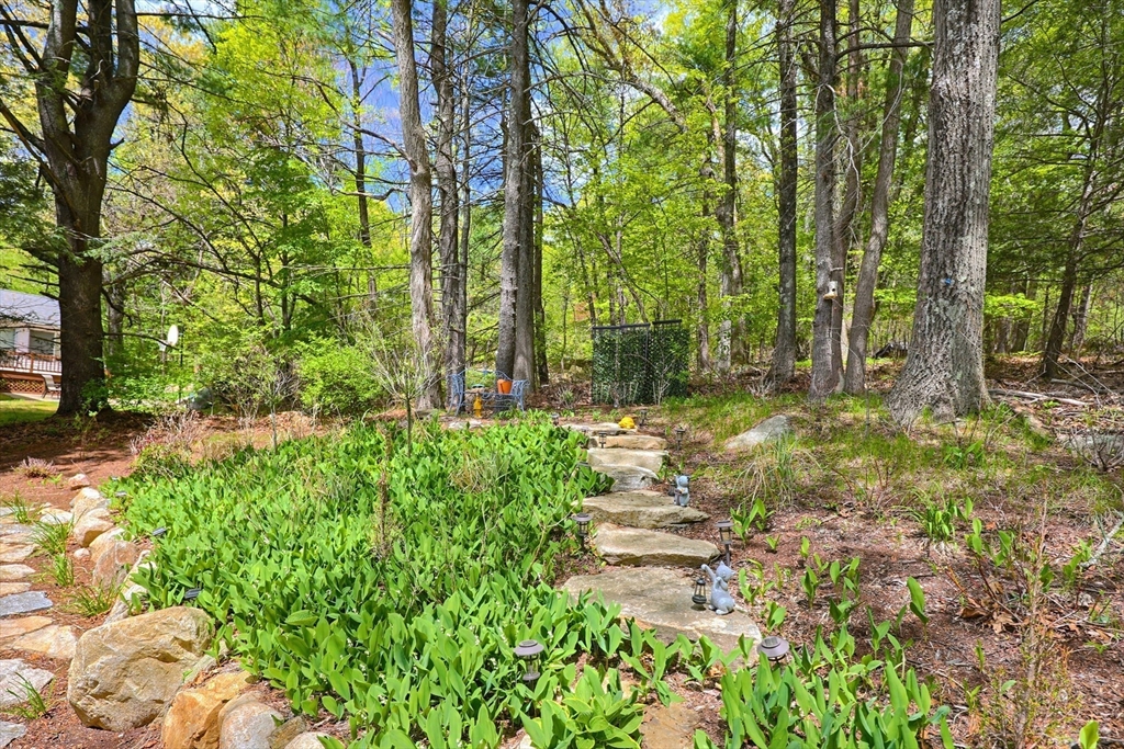 135 Locust St, Holliston, MA, 135 Locust St, Holliston, MA Photo #32