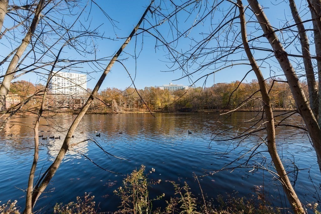 99 Pond Ave #208, Brookline, MA Photo #14