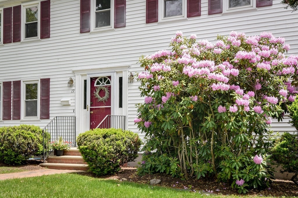 19 Swanson Road