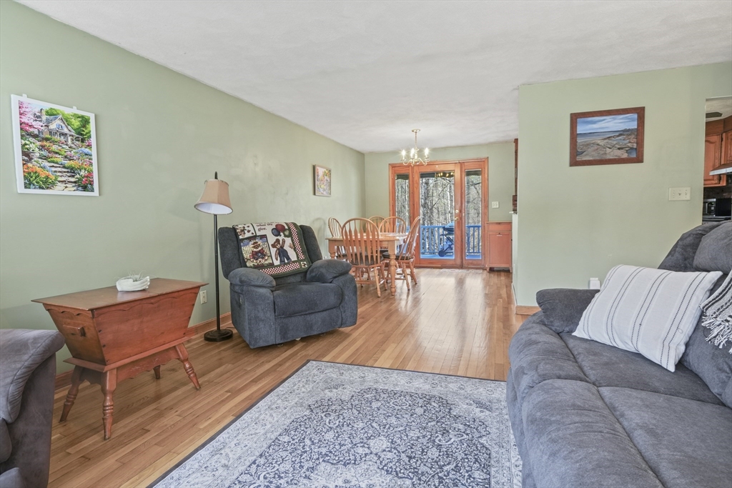 15 Proctor Road