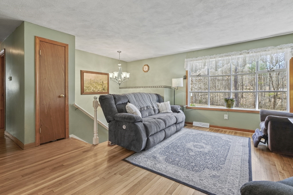 15 Proctor Road