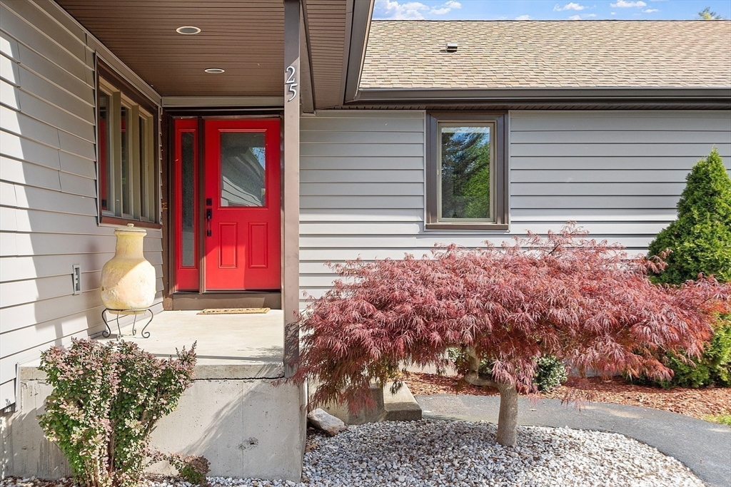 25 Williams Rd