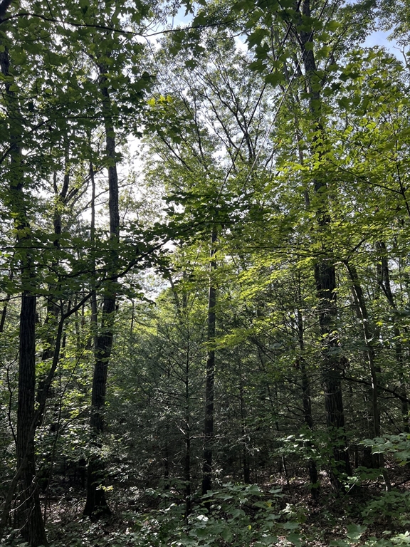 Lot 8 Southbridge Rd