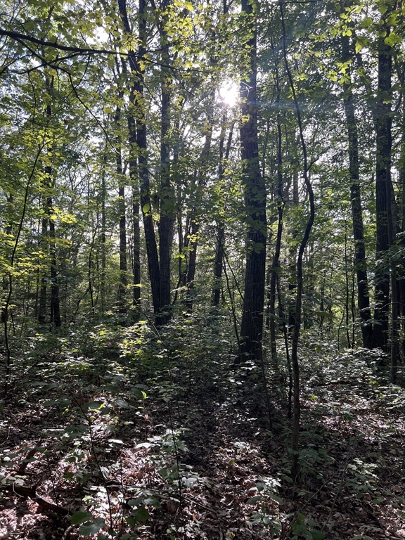 Lot 8 Southbridge Rd