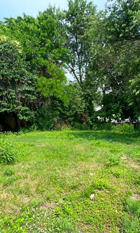1276 Page Blvd, Springfield, MA Photo #4