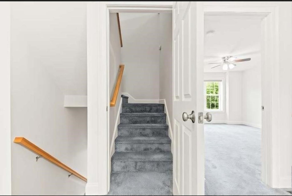 723 County St #723, Attleboro, MA, 723 County St #723, Attleboro, MA Photo #15