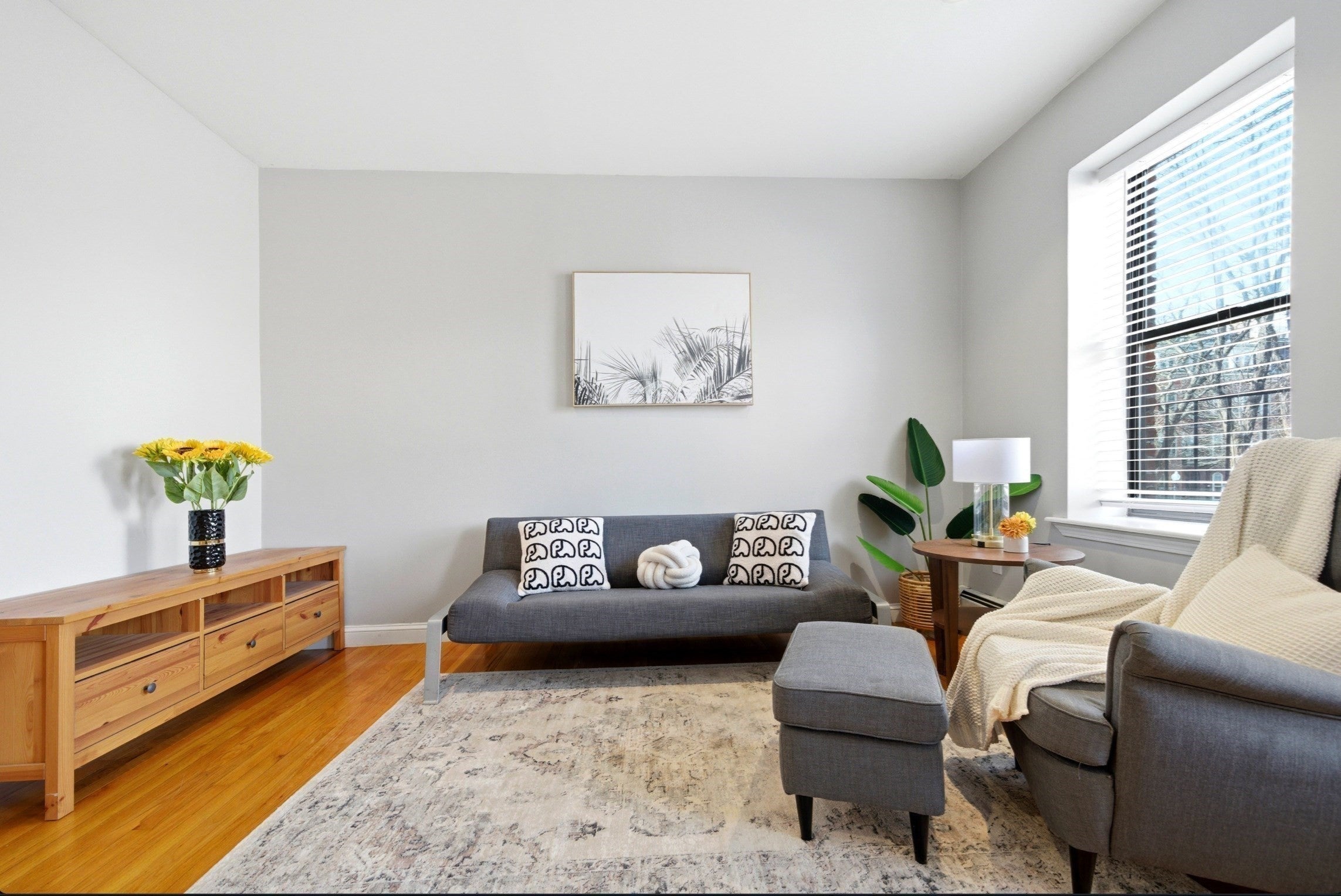 469 Shawmut Ave #1, Boston, MA, 469 Shawmut Ave #1, Boston, MA Photo #5