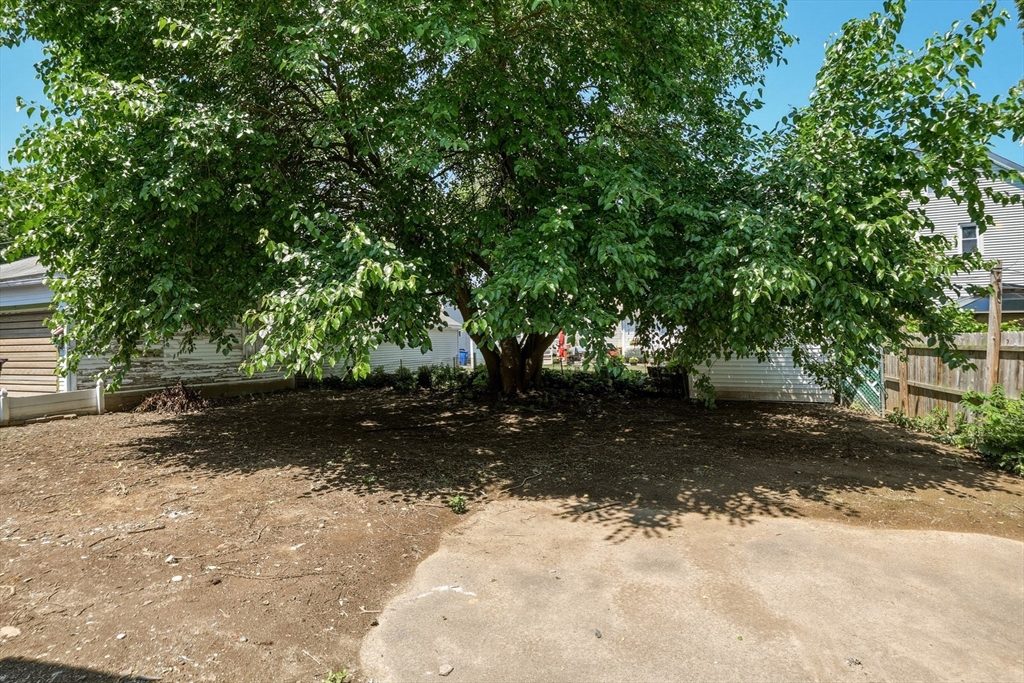 61 W Glen St, Holyoke, MA Photo #36