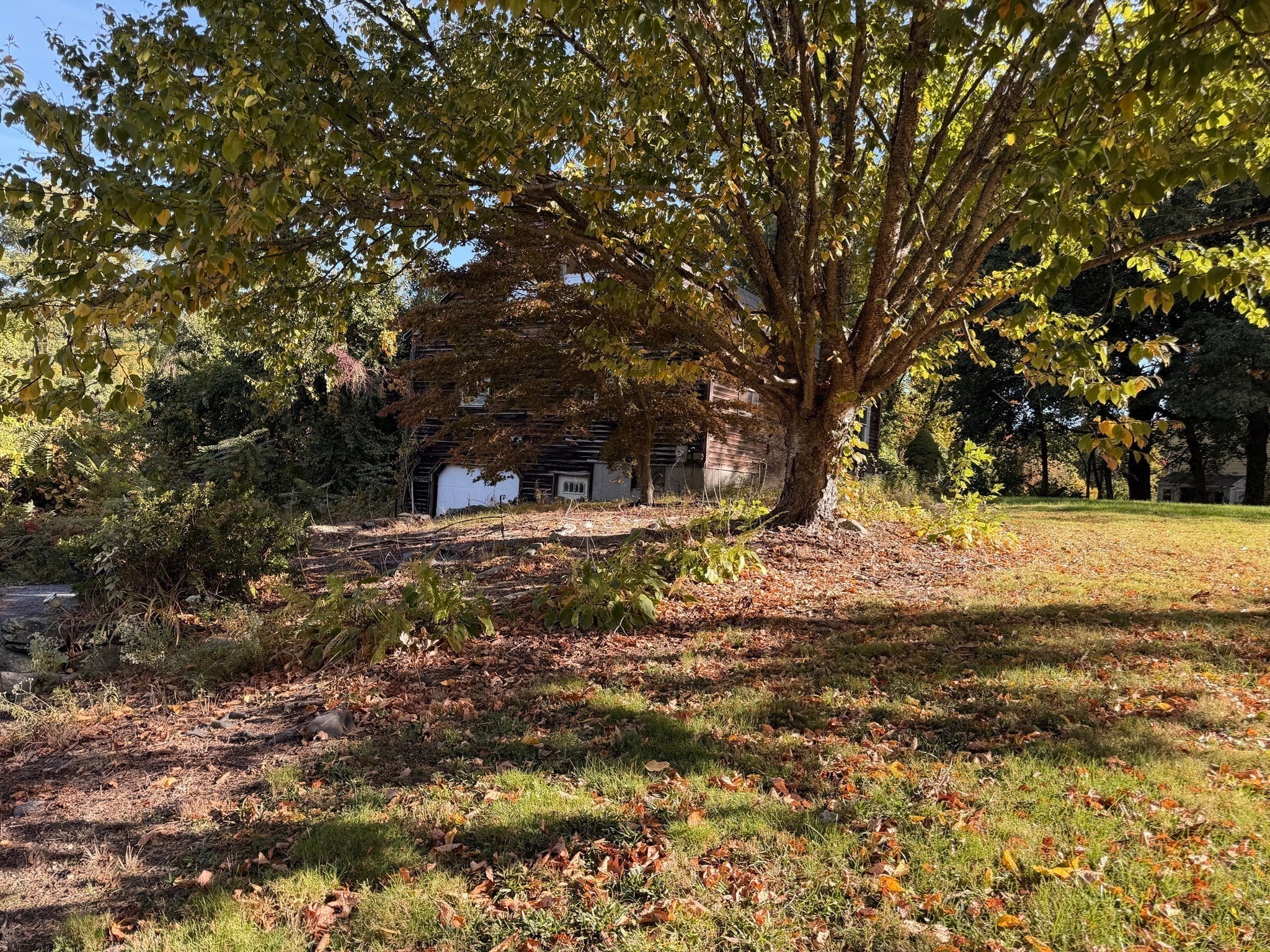 151 Ash St, Marlborough, MA Photo #6