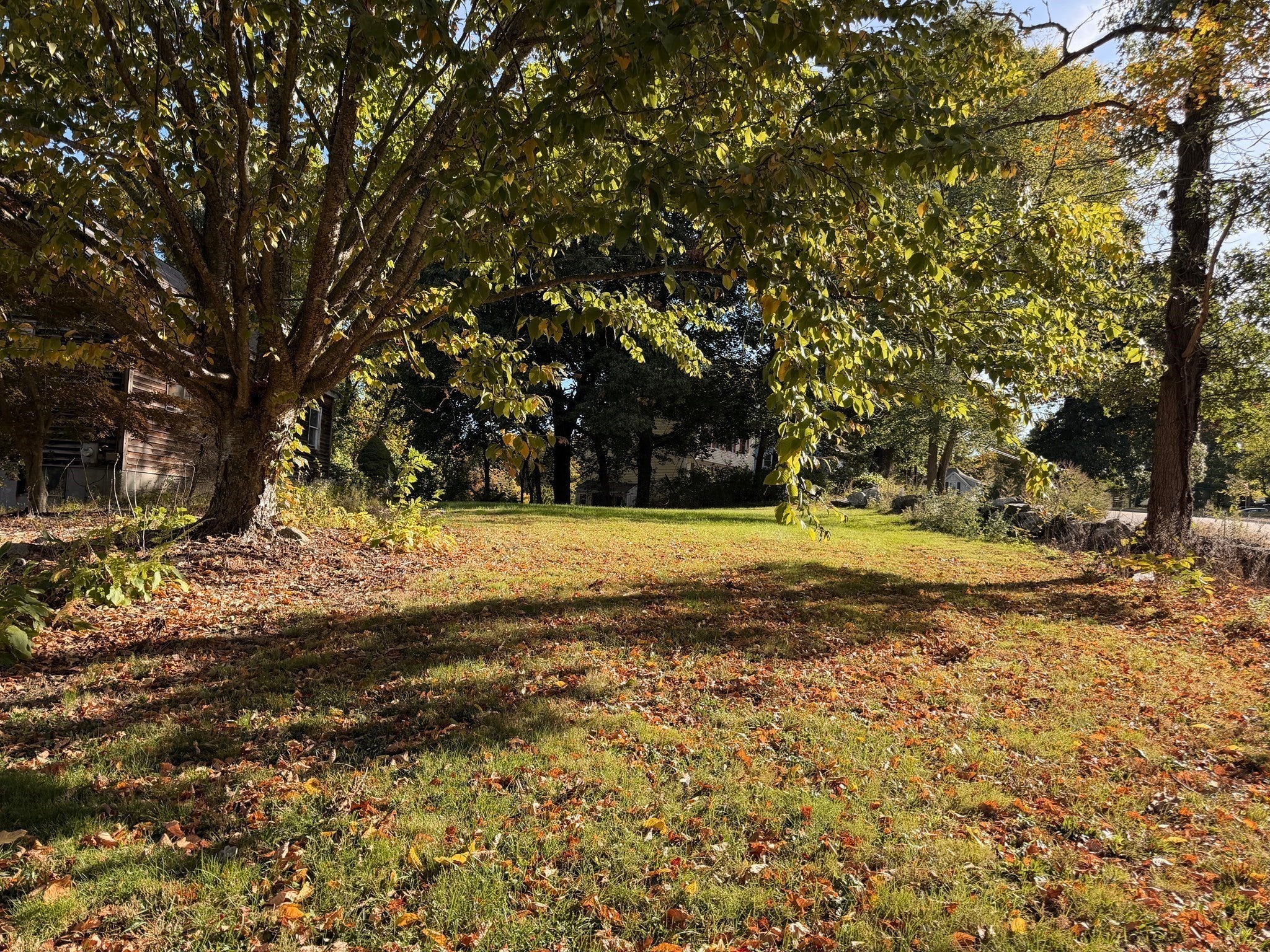 151 Ash St, Marlborough, MA Photo #7