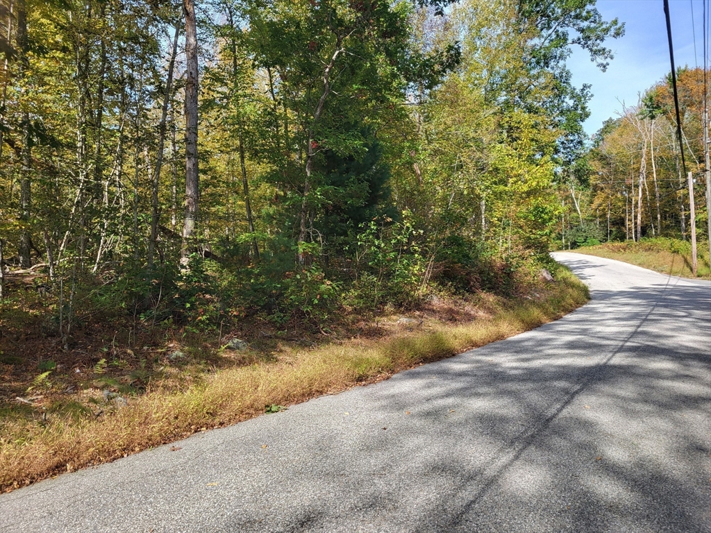 305 Tripp Hollow Rd