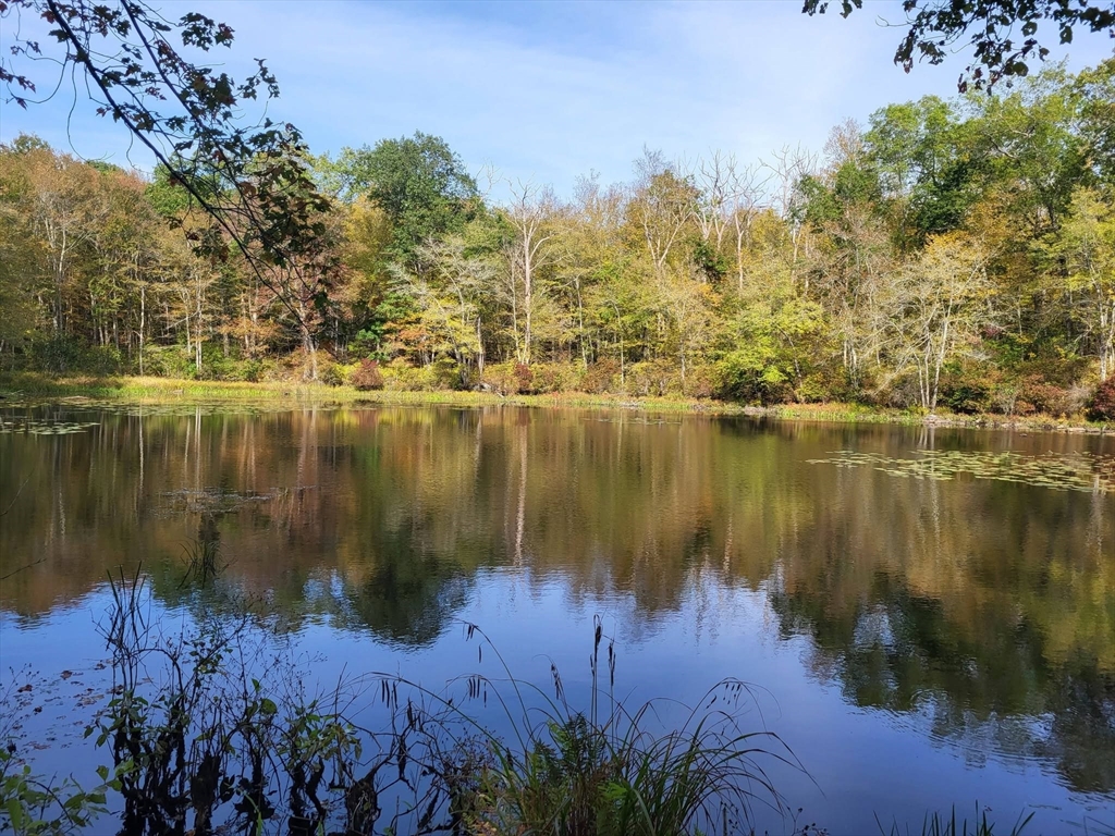 305 Tripp Hollow Rd