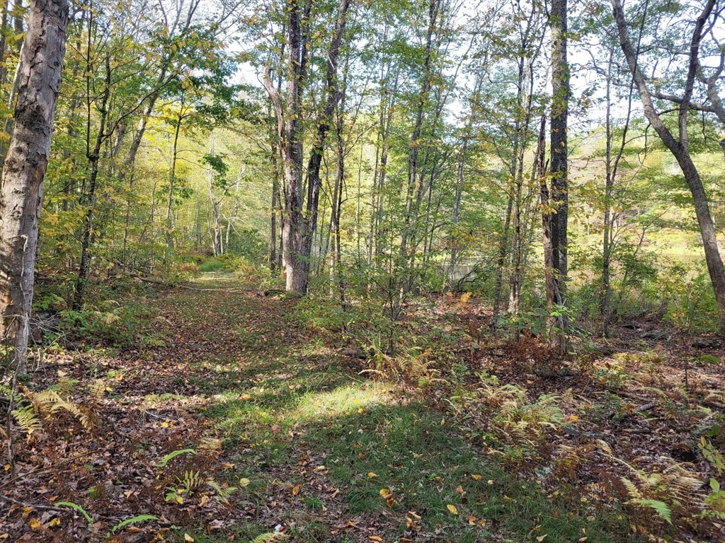 305 Tripp Hollow Rd