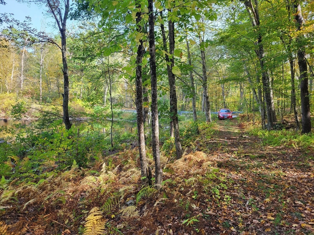 305 Tripp Hollow Rd