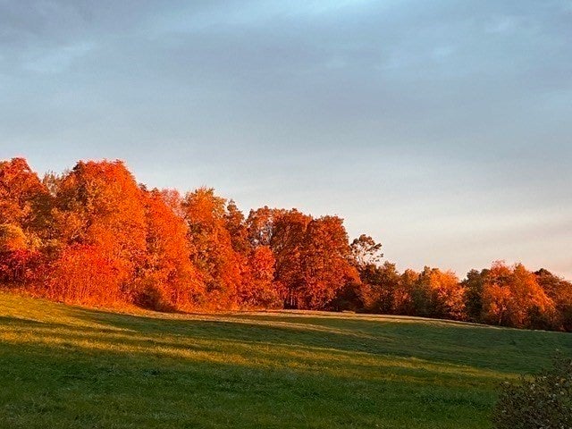 170 Brookfield Rd, Warren, MA Photo #39