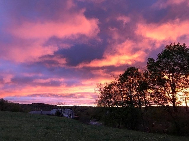 170 Brookfield Rd, Warren, MA Photo #40
