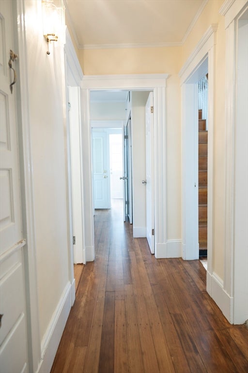 581 South Street #2, Boston, MA Photo #20