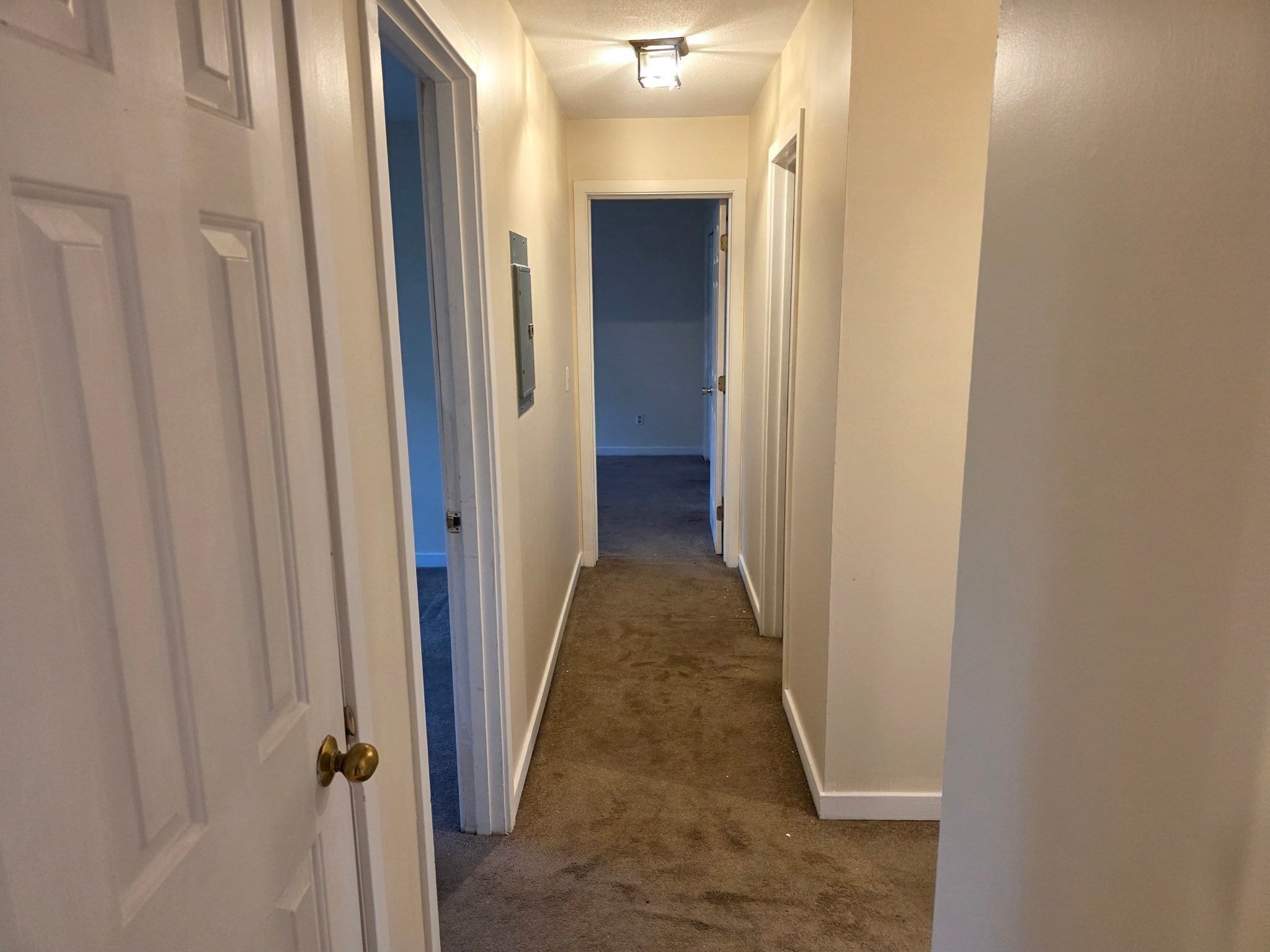 32 Salem Pl #32, Amherst, MA, 32 Salem Pl #32, Amherst, MA Photo #8