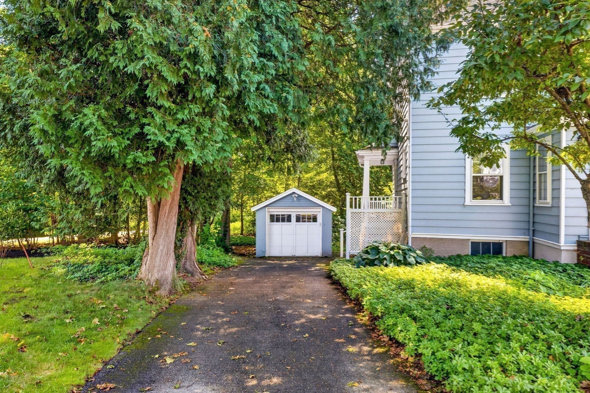 7 Dexter Road, Wellesley, MA Photo #19