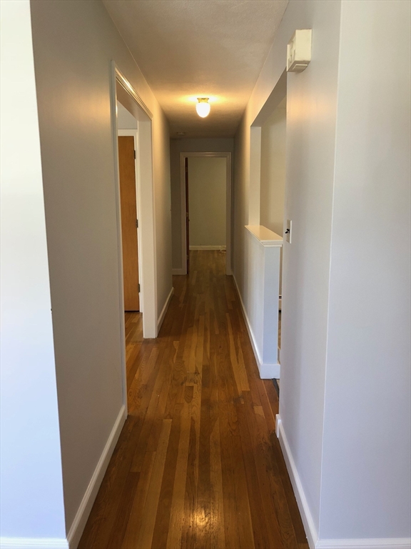 4 Hawthorne Street #2, Watertown, MA, 4 Hawthorne Street #2, Watertown, MA Photo #13
