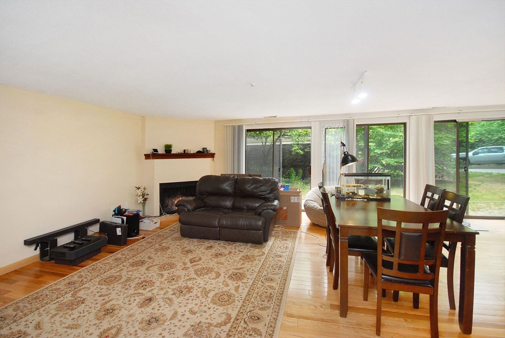 238 Brown Bear Crossing 238