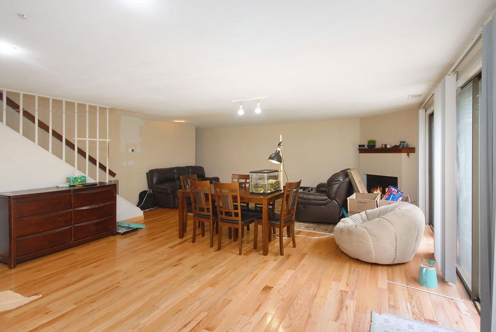 238 Brown Bear Crossing 238